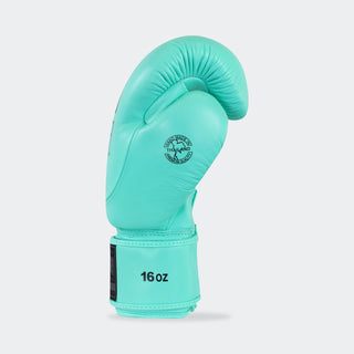 Combat CRNR HMIT Boxhandschuhe - Mint